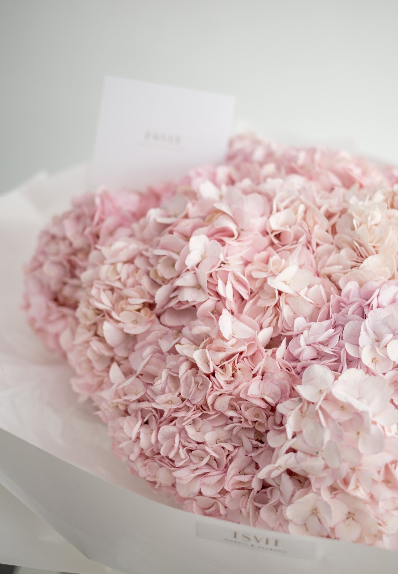 24. Hydrancea Pink Embrace Bouquet