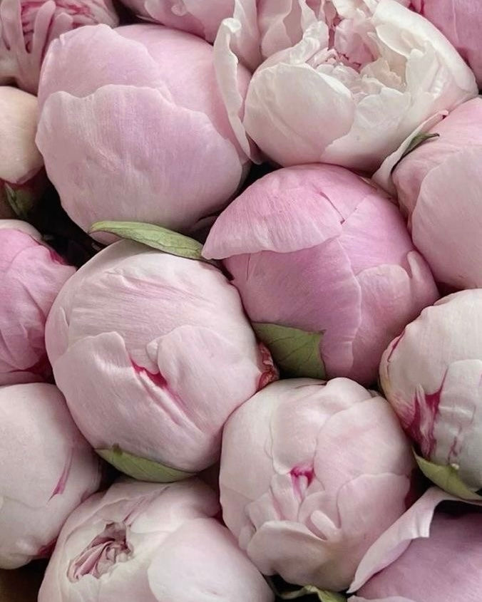 Sarah Bernhardt Bouquet