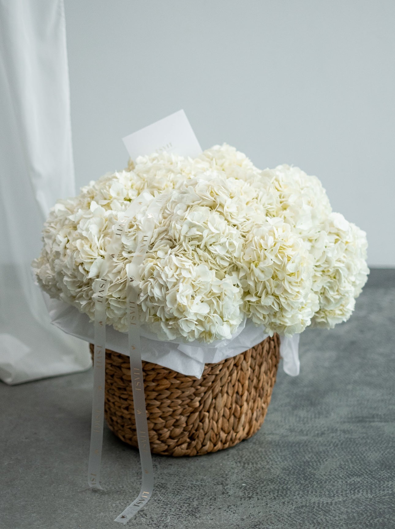 Hydrangea Embrace White Basket
