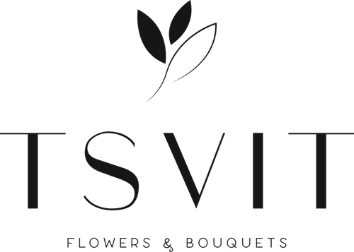 TSVIT